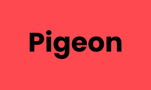 Pigeon